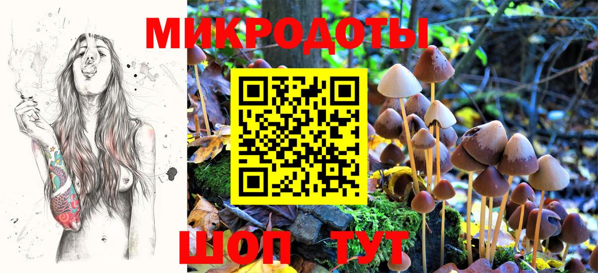 Галлюциногенные грибы Psilocybe  Вход с VPN  Пугачёв 